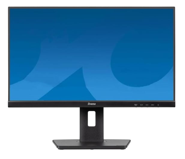 IIYAMA ProLite XUB2491H-B1 - 1293312 - zdjęcie